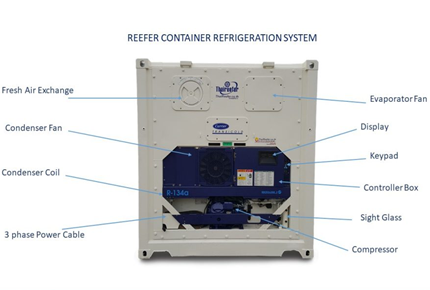 Unlocking Global Cold Chain Solutions: Introducing CIMC Equilink’s Reefer Containers and Parts